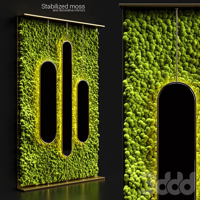 Stabilized moss and mirrors