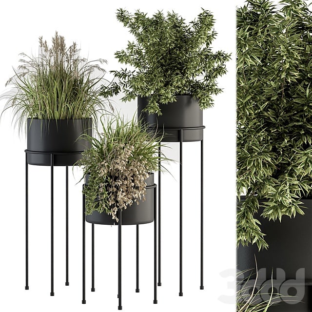 indoor Plant Set 370 - Tree and Plant Set Stand pot