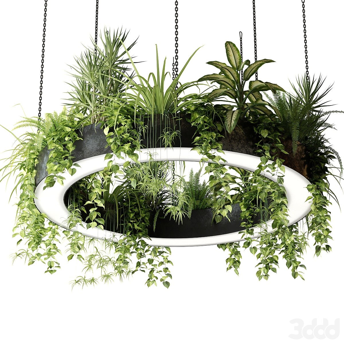 Ring lamp planter with plants