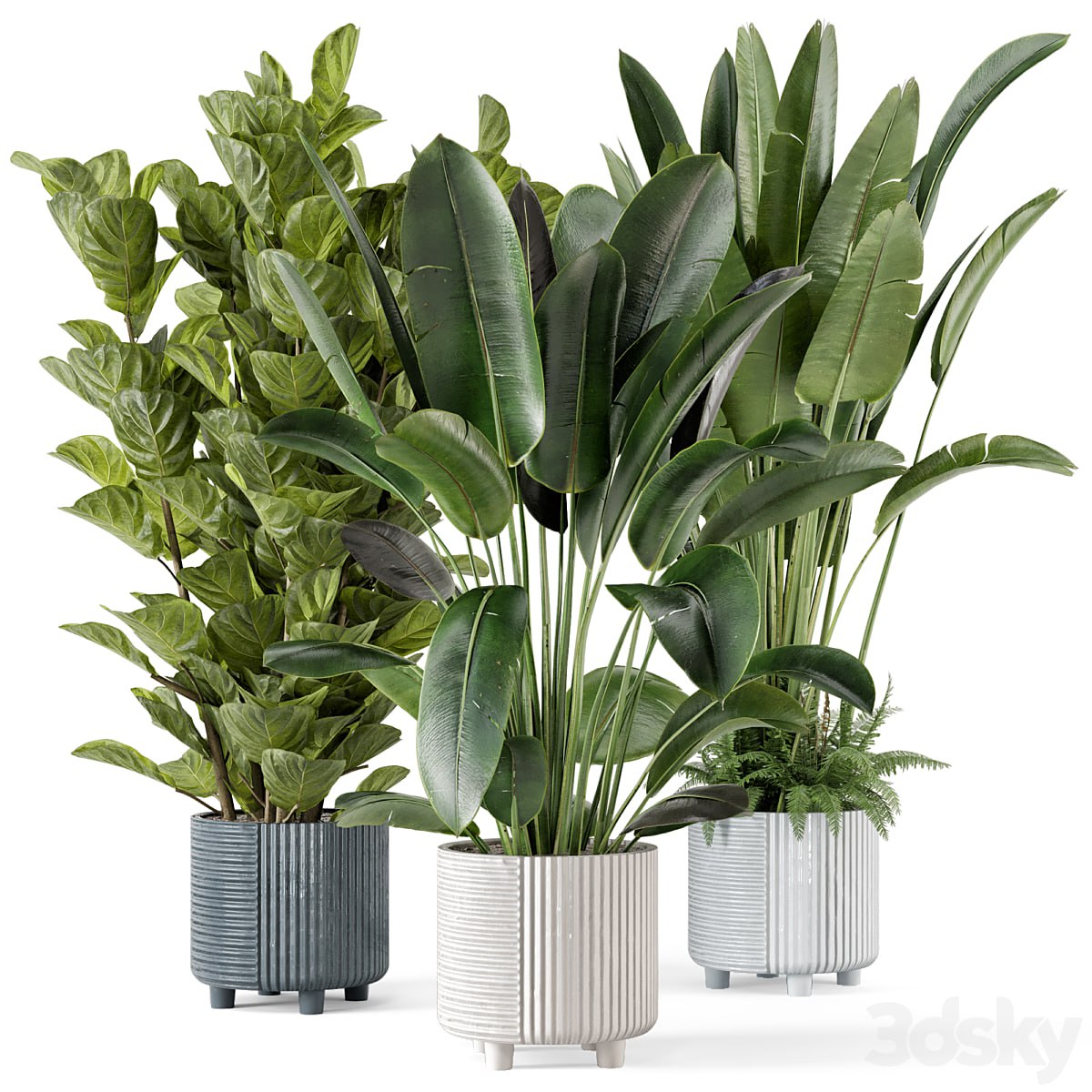 Indoor Planters in Cecilia Ficonstone Pot - Set 409