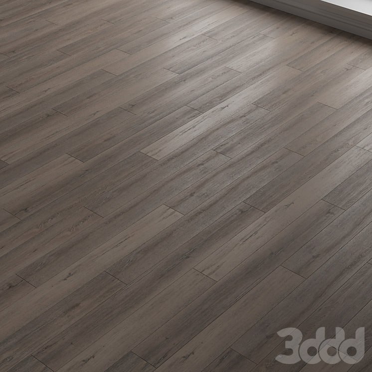 Laminate. Parquet. 22
