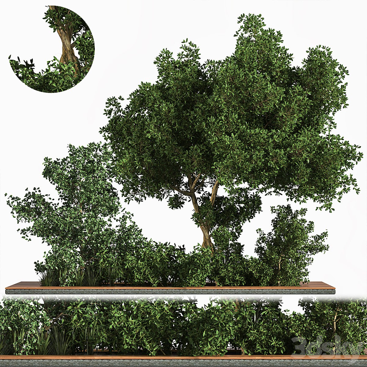 Garden Set Grass Tree