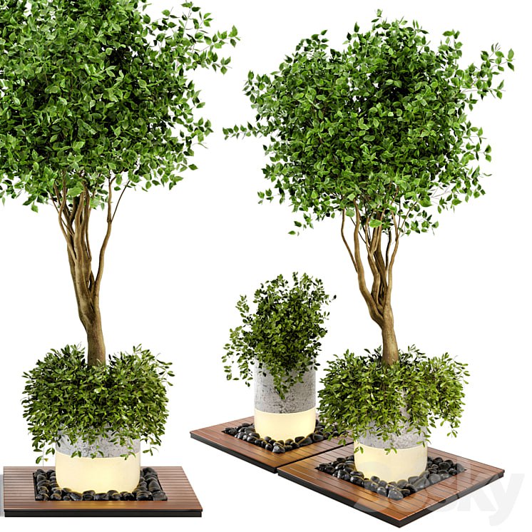 Outdoor Plants bush & Tree Combination of wood & concrete Pot - Garden Set 45