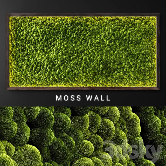 Moss wall 2