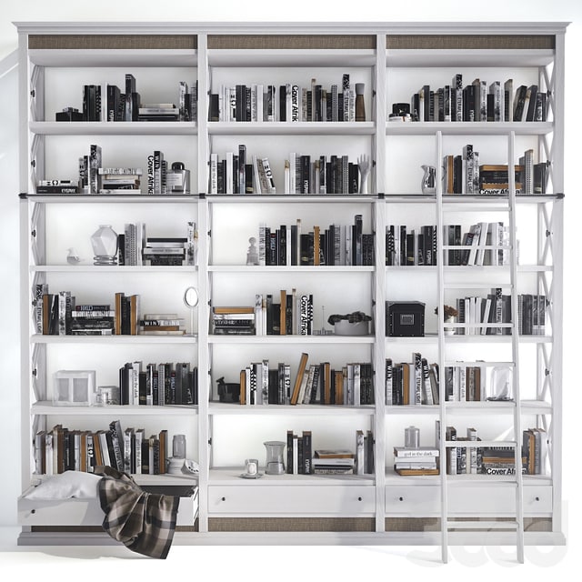 Shelving with books