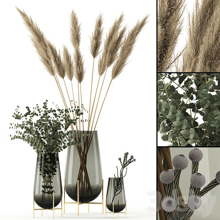 Plants in Echasse Vases