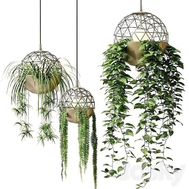 Atelier Schroeter luminaires with hanging plants , , , ,