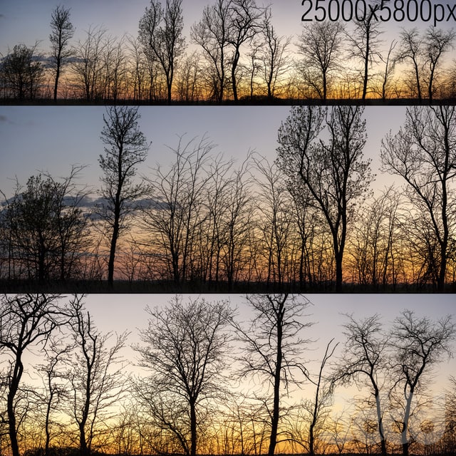 .jpeg Silhouettes of trees at sunset. Panorama