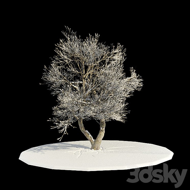 tree-snow v3 / tree in snow v3