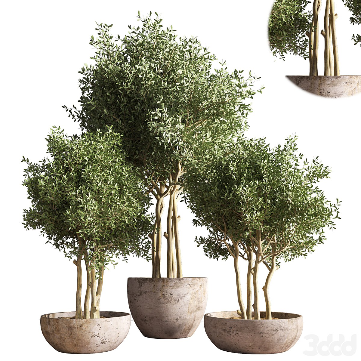 indoor plant stand 19