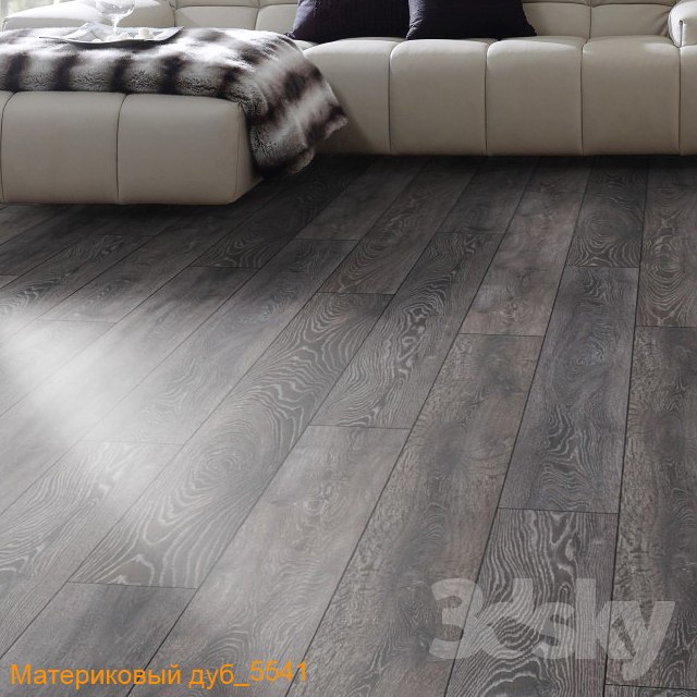 Материковый дуб_5541