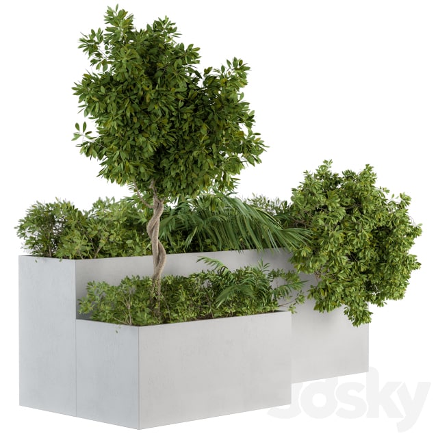 Outdoor Plants Concrete Box - Set 45