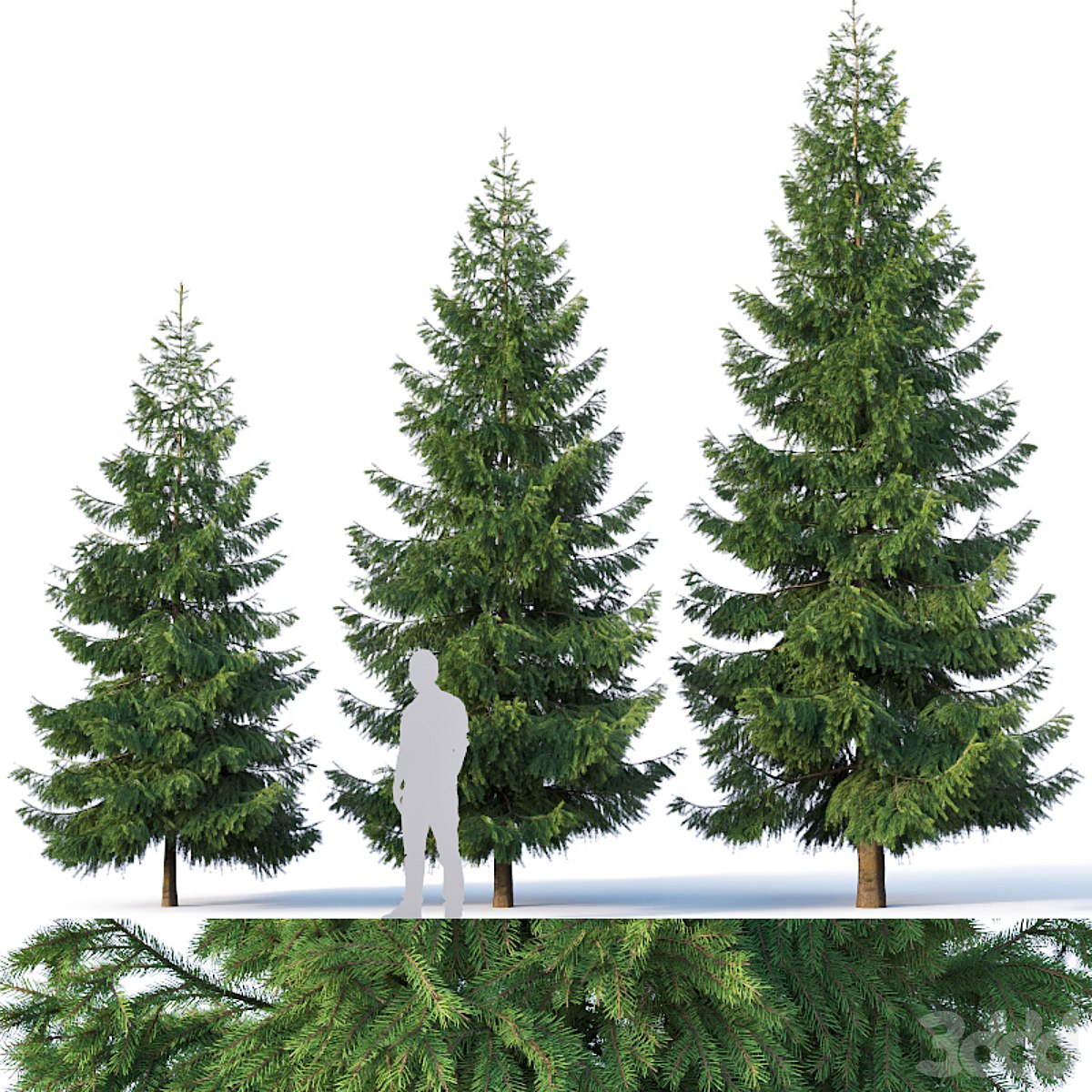 Spruce # 3. Three sizes H4,3-6,5m. Modular branches