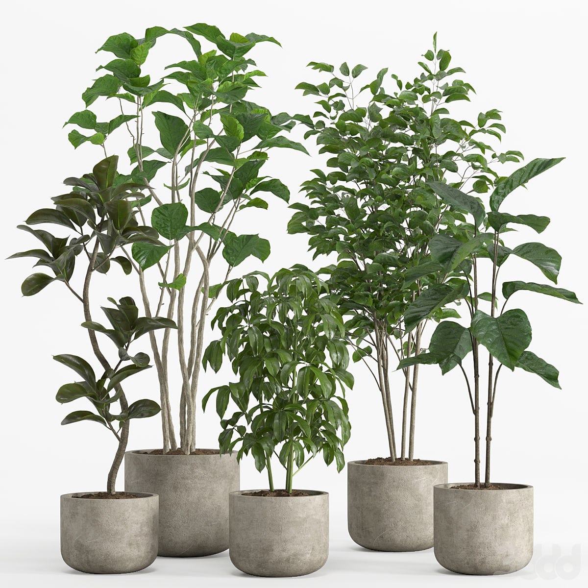 indoor plant set 017