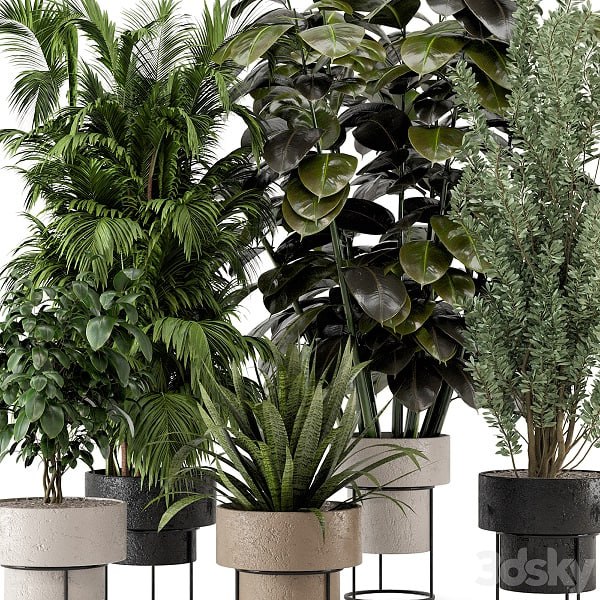 Indoor Plants in Rusty Concrete Pot on Metal Shelf Set 328