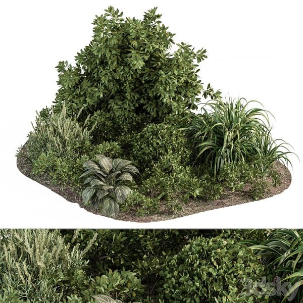 Garden set ivy and Bush - Garden Set 20