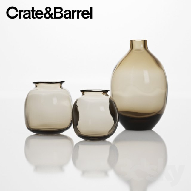 Crate & amp; Barrel Vases