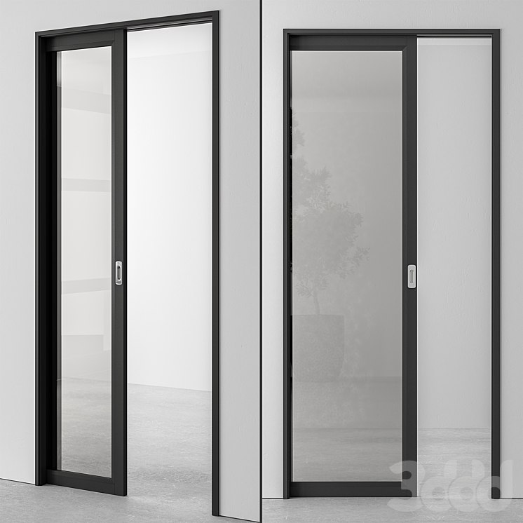 Glass Pocket Door - Set 51