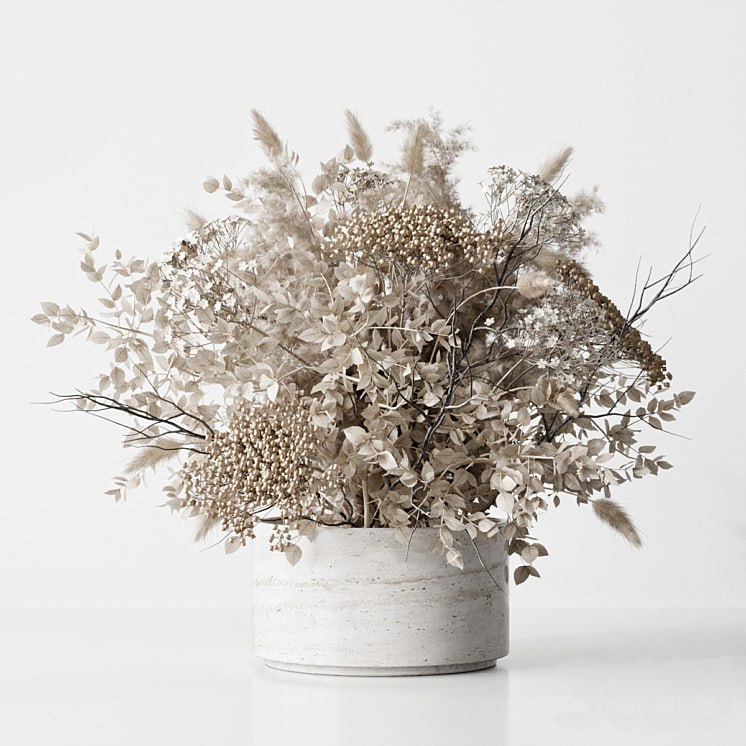 Dried Flower