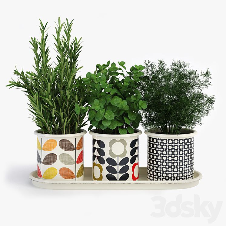 Potted Plants Orla Kiely Herb Pots