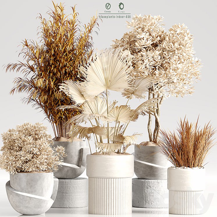 Indoor Plant Set 35 Dry Plants