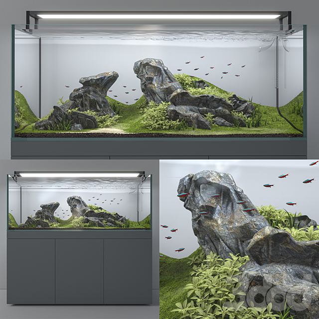 Aquascape aquarium