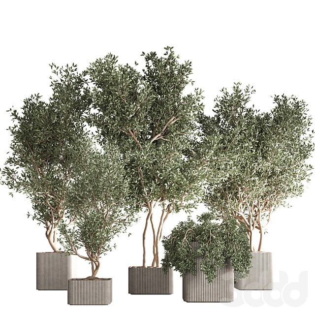 indoor plant set 30