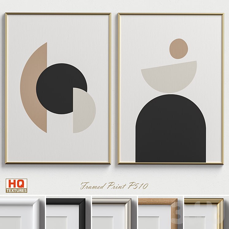 Framed Print P-510