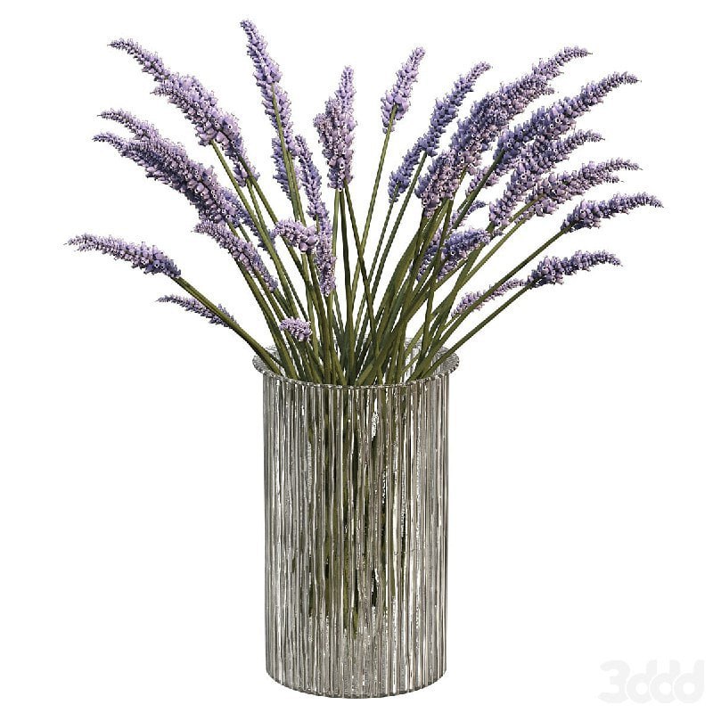 Bouquet of lavender