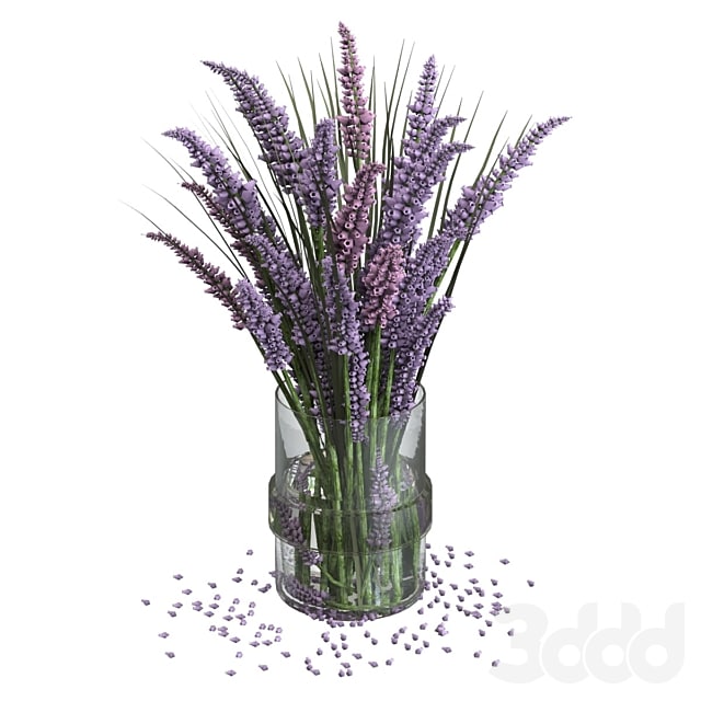 Lavender bouquet