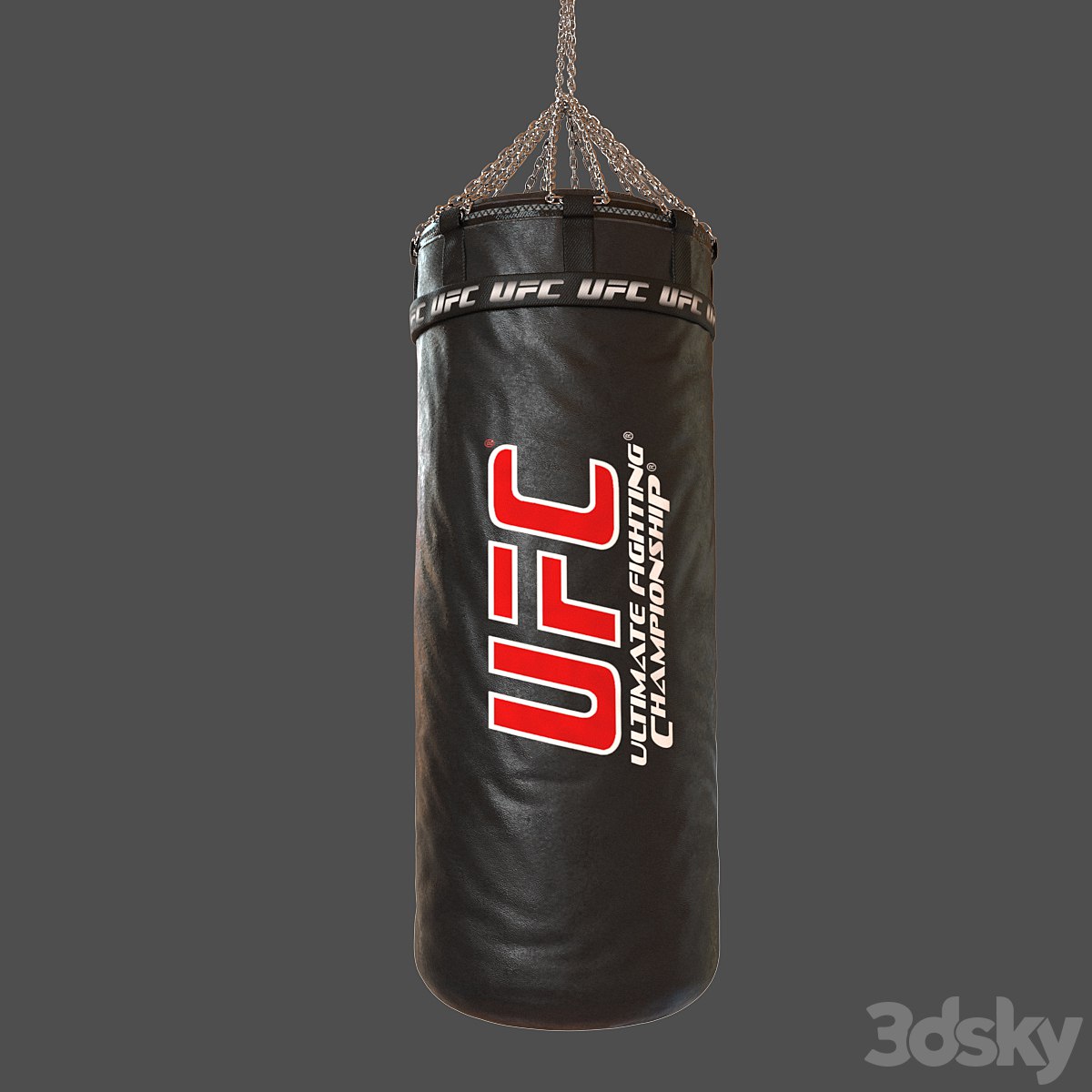 UFC Boxing Bag