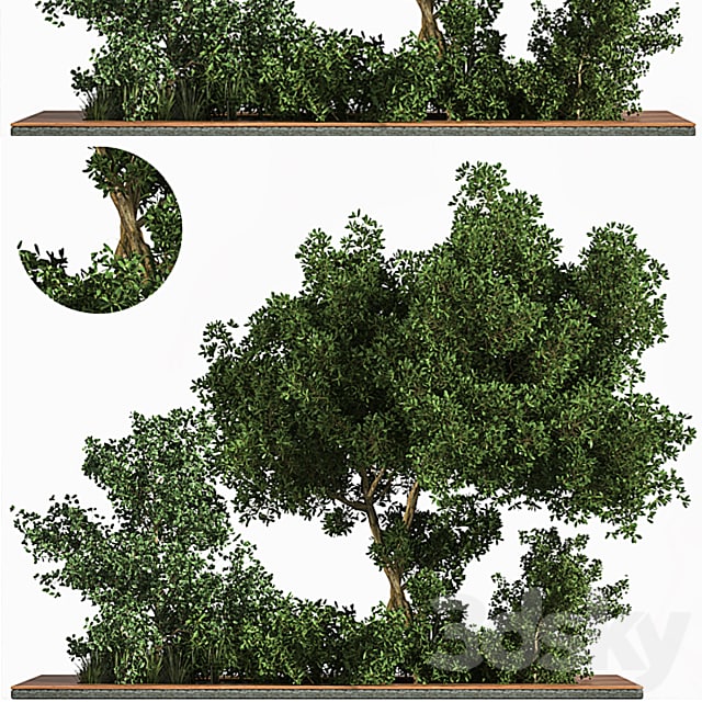 Garden_set_Grass _ & _ Tree