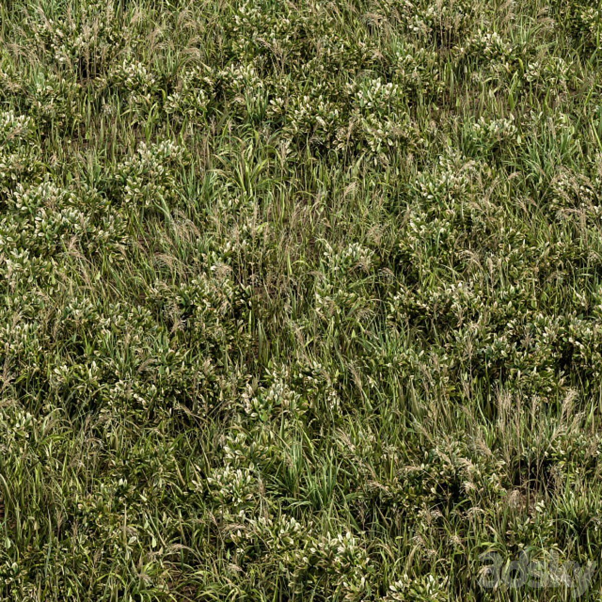 Wild Grass Green - Grass Set 01