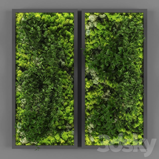 Vertical garden 062