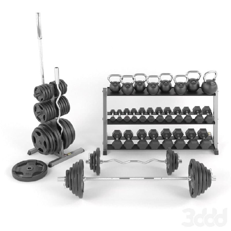 A set of weights for the gym from BodySolid