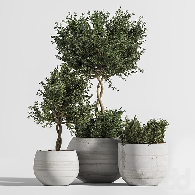 Plant Indoor with Concrete Leaf