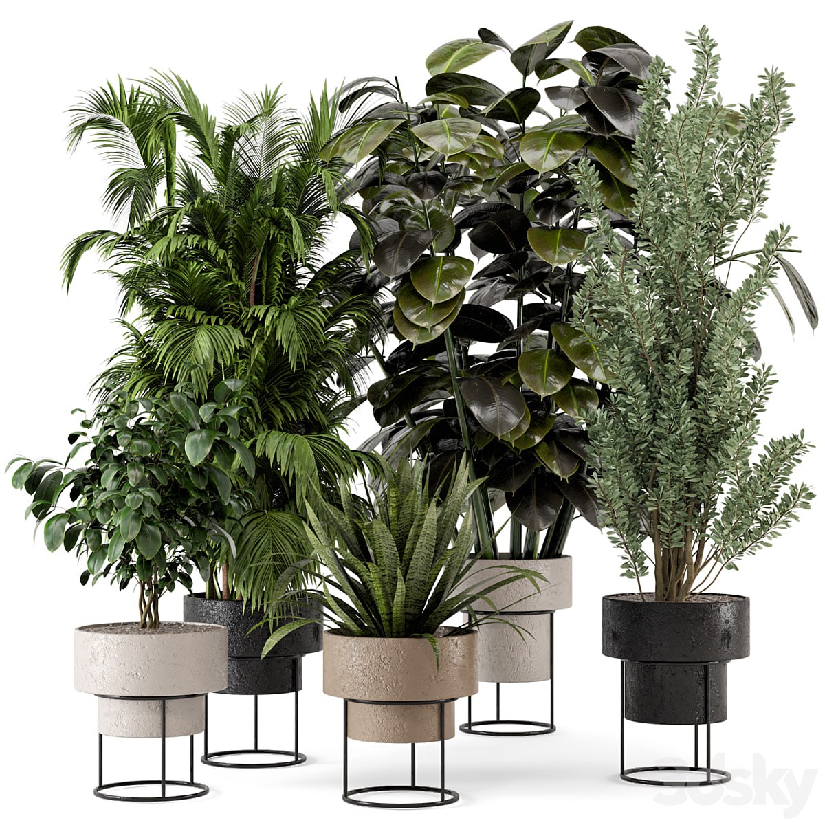 Indoor Plants in rusty Concrete Pot on Metal Shelf - Set 328