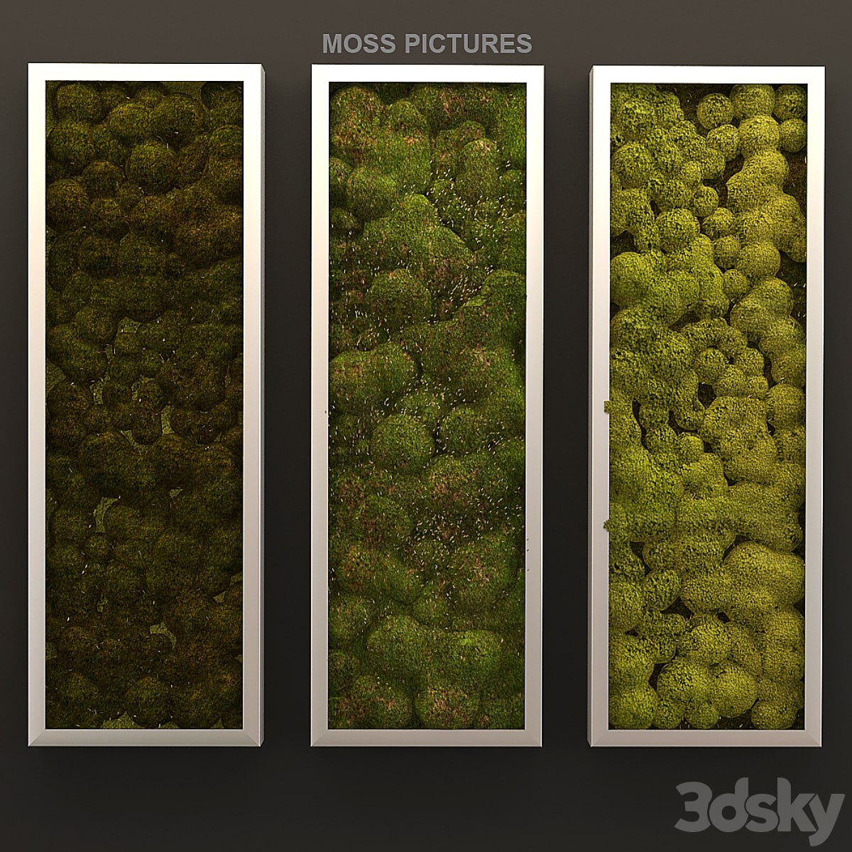 Moss pictures
