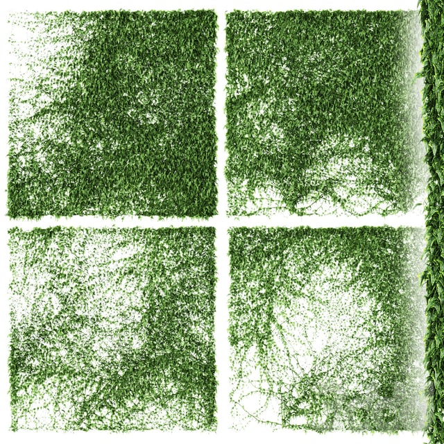 Стена плюща. 4 модели. v3